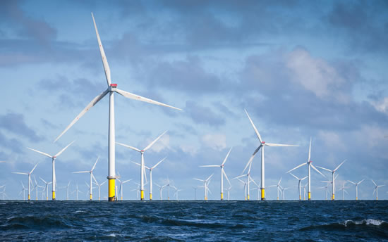wind farm