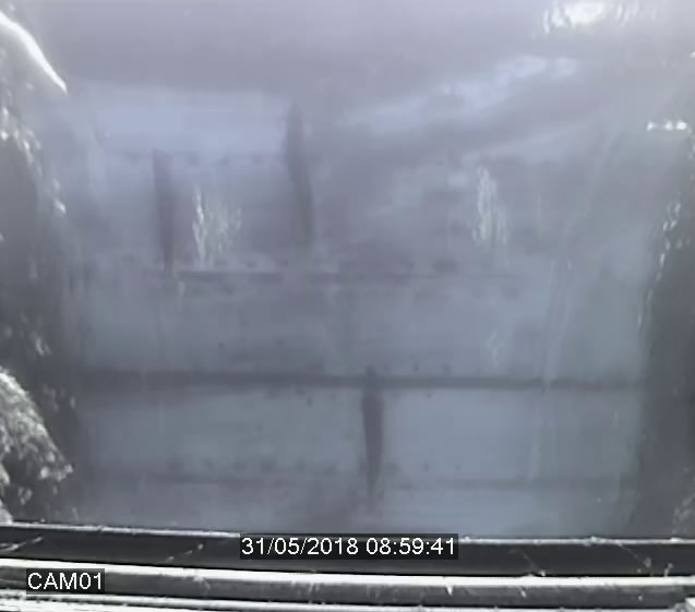 Salmon return to River Frome from feeding in North Atlantic