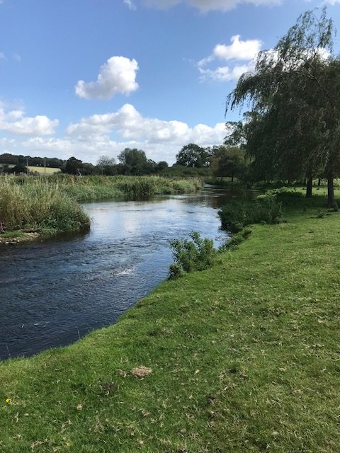 Three weeks tagging with the SAMARCH project – August & September 2019