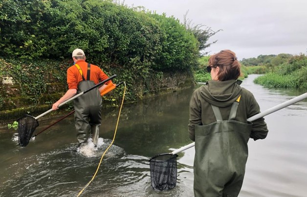 Parr tagging on the Frome