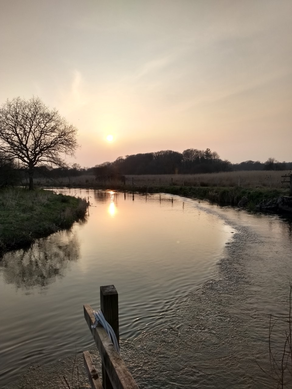 Helping with the smolt run!