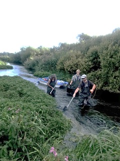 Learning new techniques in fish conservation