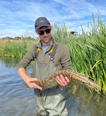 Salmonid parr tagging with SAMARCH