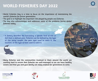 Happy World Fisheries Day!