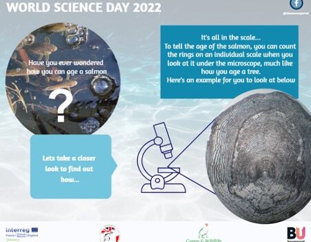 Celebrating World Science Day
