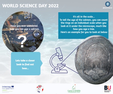 Celebrating World Science Day